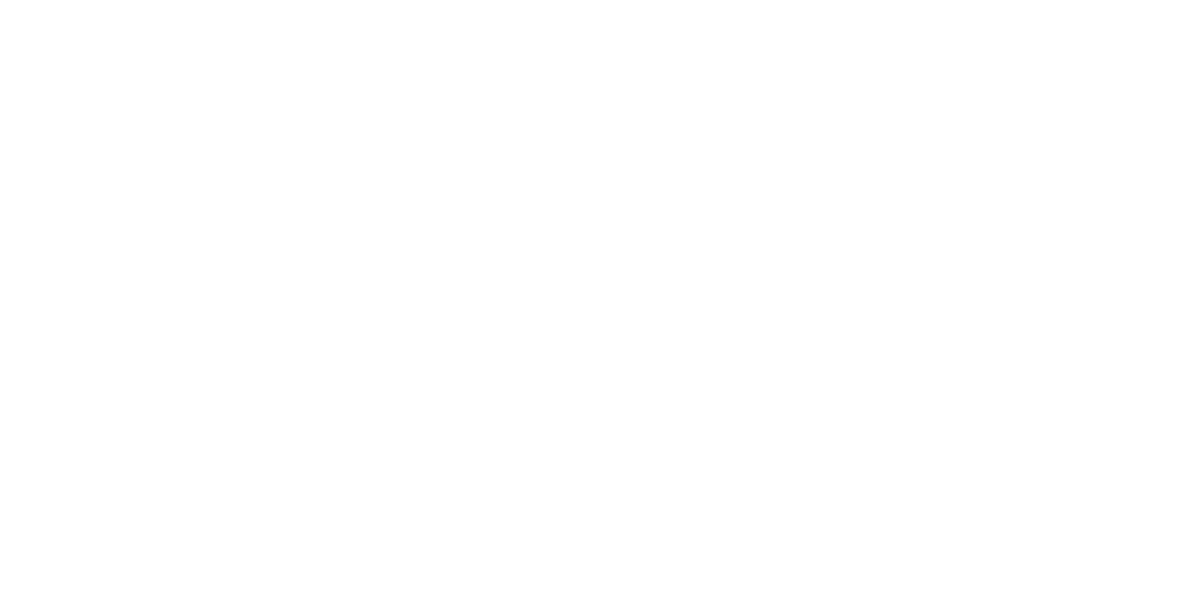 Inner Racers